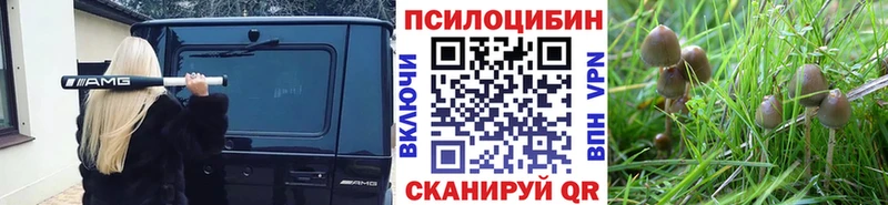 Псилоцибиновые грибы ЛСД  цены   Рыбное 
